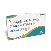  PCD Pharma franchise in gujarat ANIKEM LAB	Animox-CV 625 Tabs Inner - 3D.png	